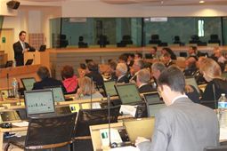 The afternoon market based session 